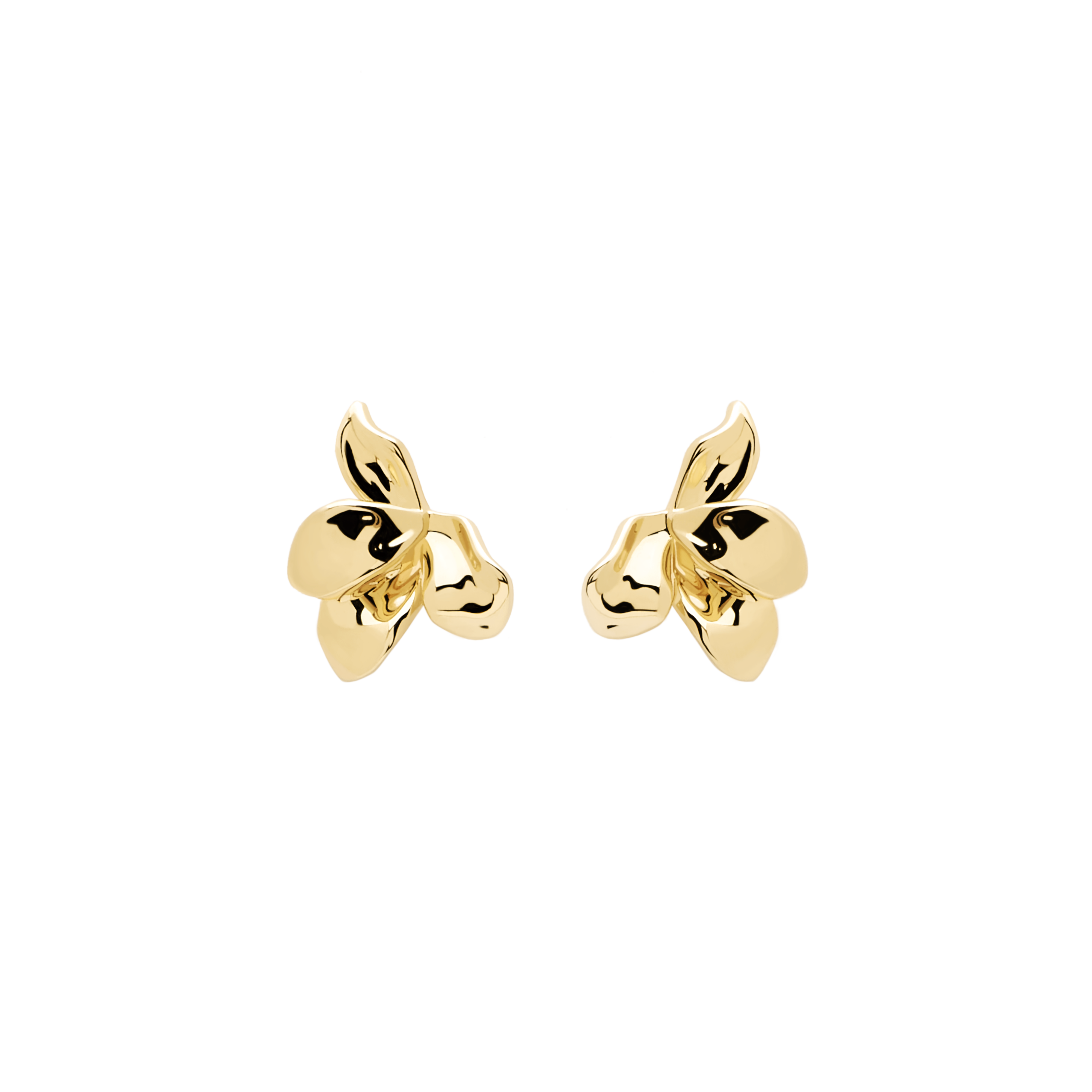 Narcise Gold Earrings