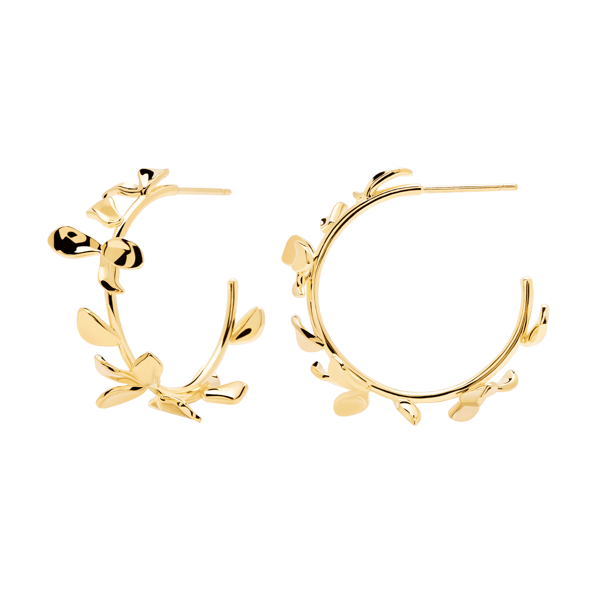 Lily Gold Earrings